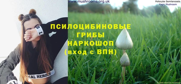 амфетамин Аркадак