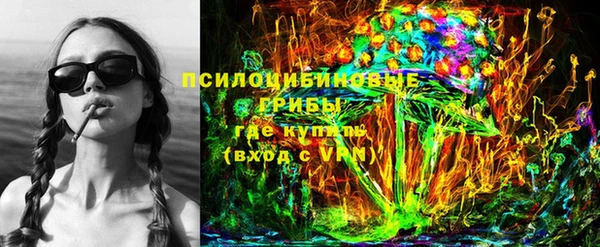 прущие грибы Алексеевка