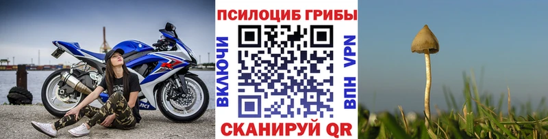 Галлюциногенные грибы GOLDEN TEACHER Цивильск